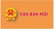 DỊCH VỤ ĐĂNG KÝ BÊN MỜI THẦU, NHÀ THẦU THAM GIA VÀO HỆ THỐNG MẠNG ĐẤU THẦU QUỐC GIA VÀ HỖ TRỢ ĐẤU THẦU QUA MẠNG